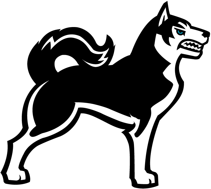 Northeastern Huskies 2001-2006 Alternate Logo v3 diy iron on heat transfer